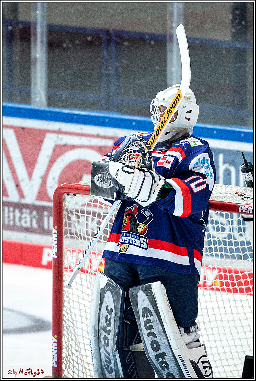 PENNY DEL;  Iserlohn Roosters - Koelner Haie; Iserlohn, 05.02.2021